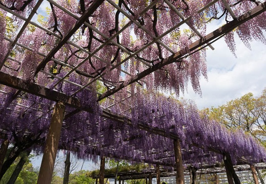 201304271324-DSC09794N.jpg