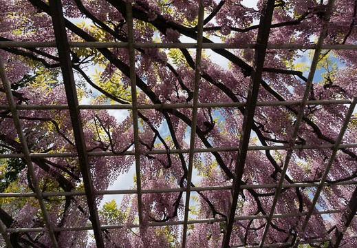 201304271324-DSC09795N.jpg