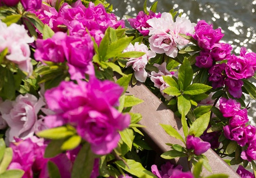 201304271354-DSC09841N.jpg