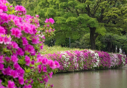 201304271400-DSC09739.jpg