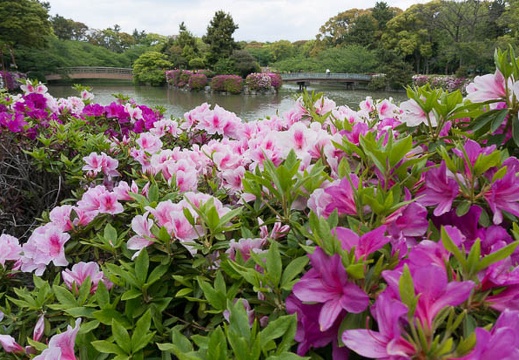 201304271403-DSC09847N.jpg