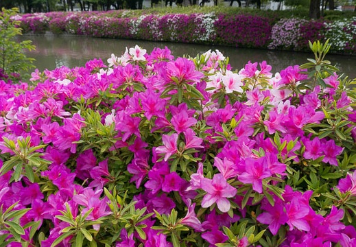 201304271414-DSC09867N.jpg