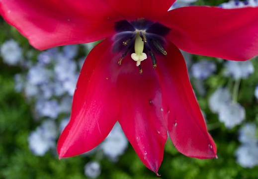 201304271500-DSC09894N.jpg
