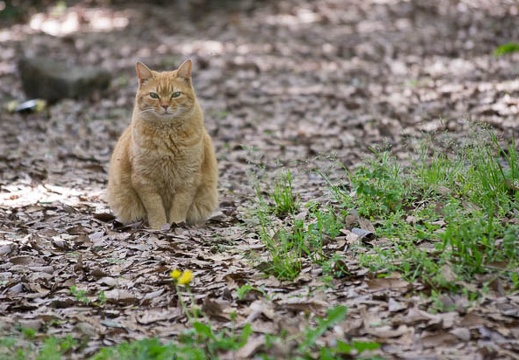 201304271516-DSC09809.jpg