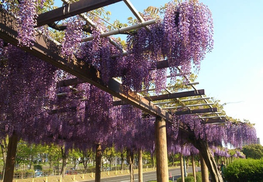 20130427160441-SO-04D.jpg