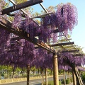 20130427160441-SO-04D.jpg