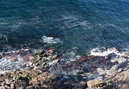 201304280910-DSC09980N.jpg