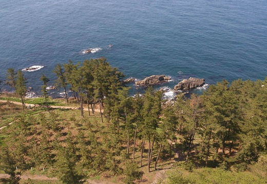 20130428094508-SO-04D.jpg