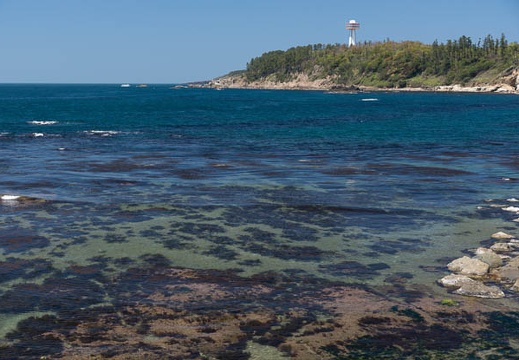 201304281217-DSC06887.jpg