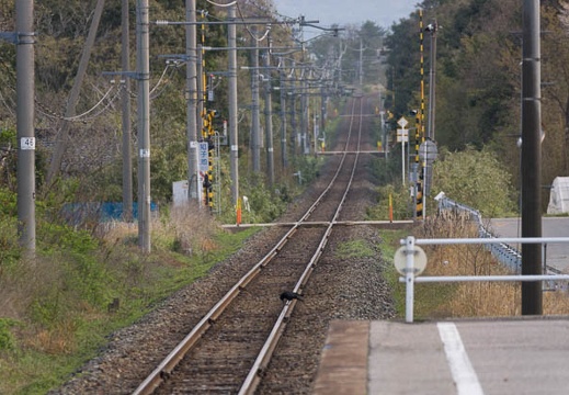 201304290612-DSC07209.jpg