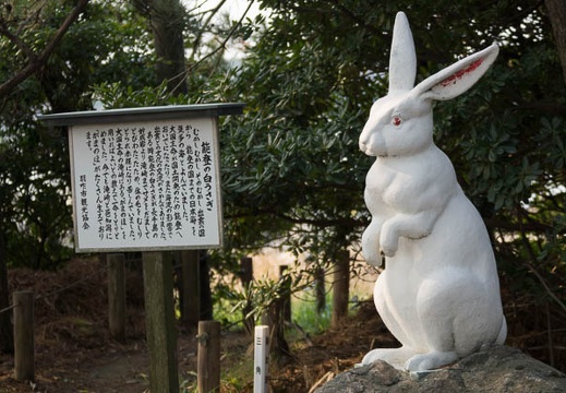 201304290746-DSC07260.jpg
