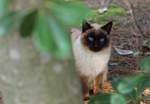 201304290749-DSC07265.jpg