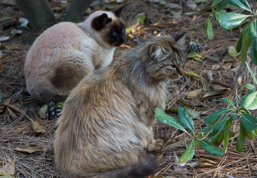 201304290751-DSC07269.jpg