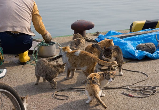 201304290755-DSC07273.jpg