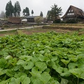 201304300841-DSC00541N.jpg