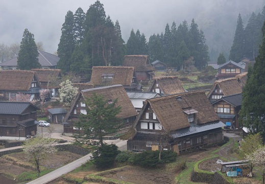 201304300853-DSC07831.jpg