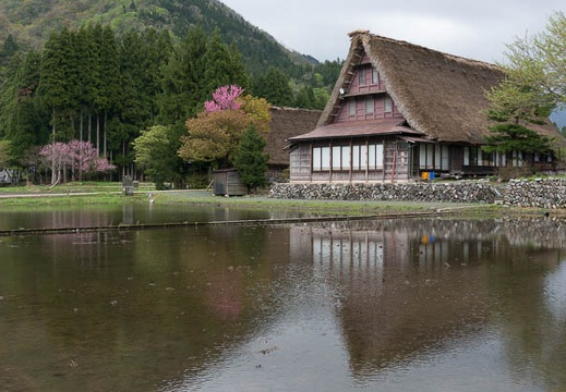 201304301116-DSC00607N.jpg