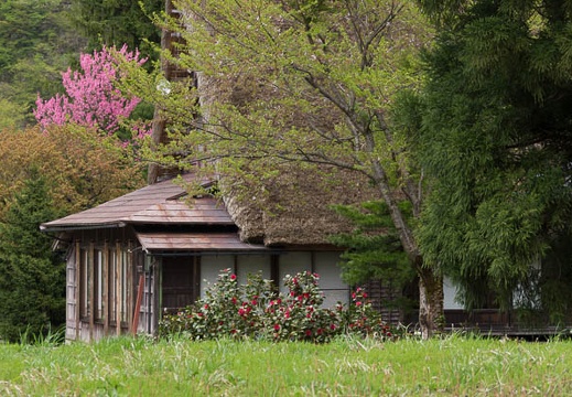 201304301132-DSC08009.jpg