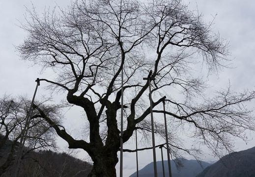 201304301400-DSC00690N.jpg