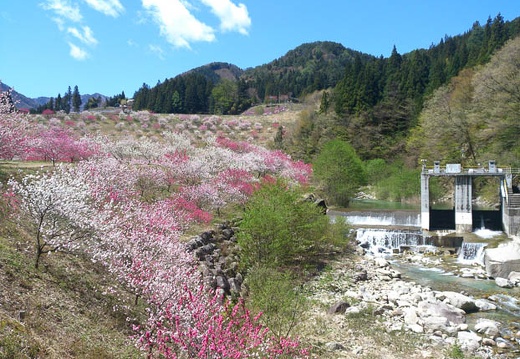 20130502104726-SO-04D.jpg