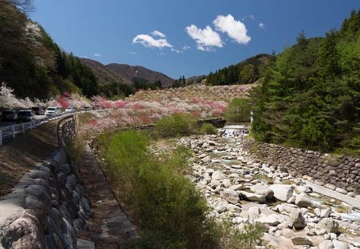 201305021049-DSC08184.jpg