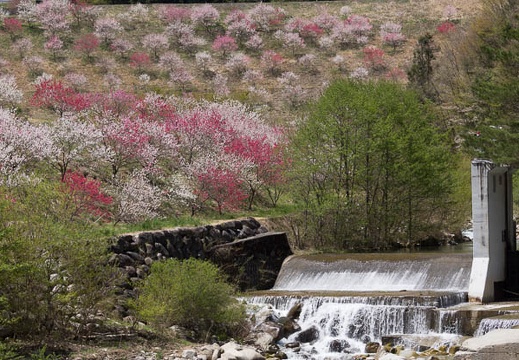 201305021055-DSC08191.jpg