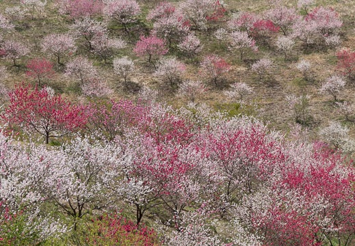 201305021057-DSC08197.jpg
