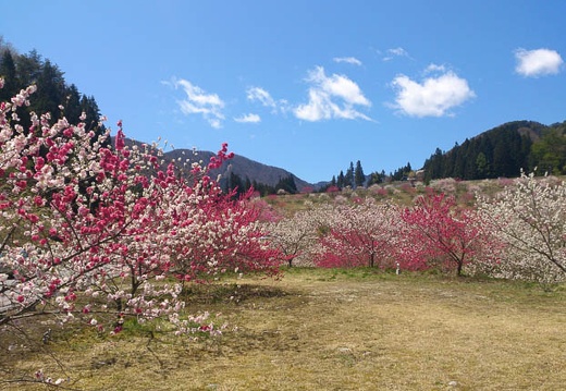 20130502110315-SO-04D.jpg