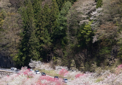 201305021202-DSC08269.jpg