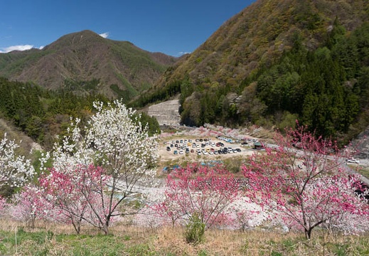 201305021211-DSC00848N.jpg