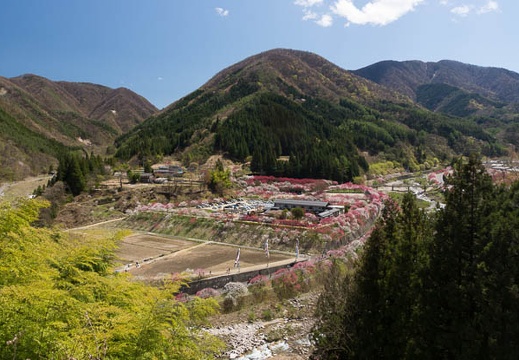 201305021319-DSC08345.jpg