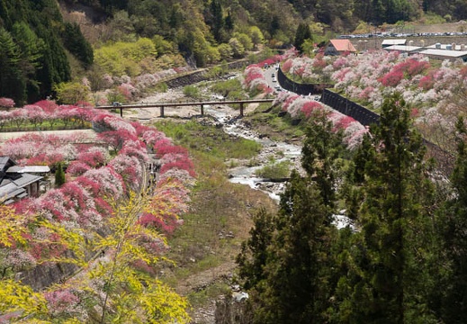 201305021322-DSC08356.jpg