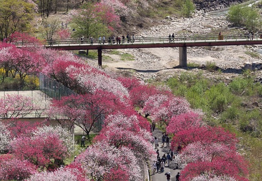 201305021323-DSC08361.jpg