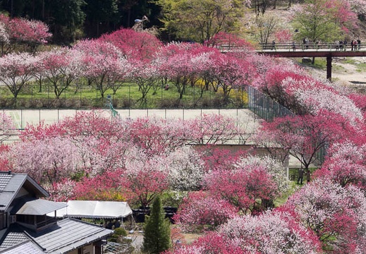 201305021324-DSC08363.jpg