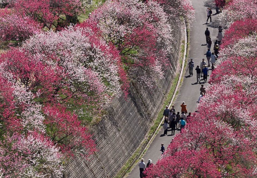 201305021327-DSC08377.jpg