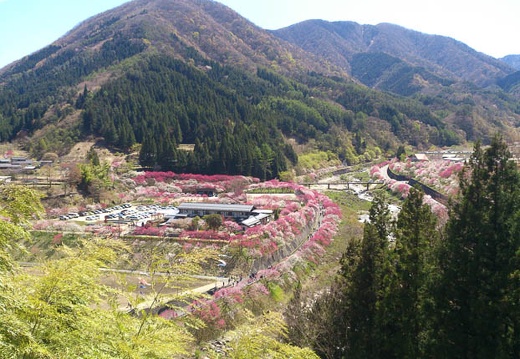 20130502132708-SO-04D.jpg