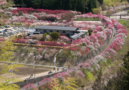 201305021330-DSC00890N.jpg