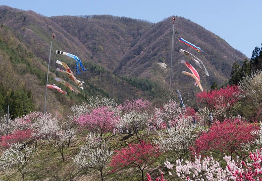 201305021346-DSC08418.jpg