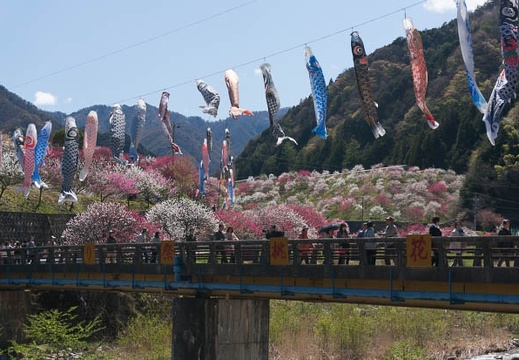 201305021354-DSC00904N.jpg