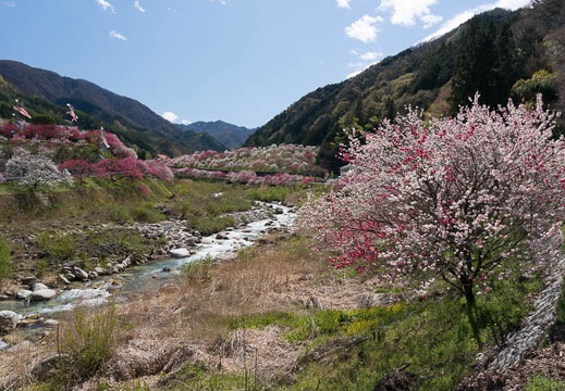 201305021356-DSC00907N.jpg