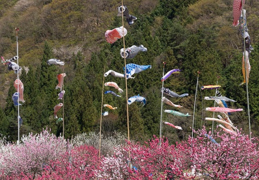 201305021402-DSC08433.jpg