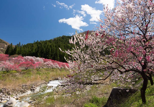 201305021407-DSC08441.jpg