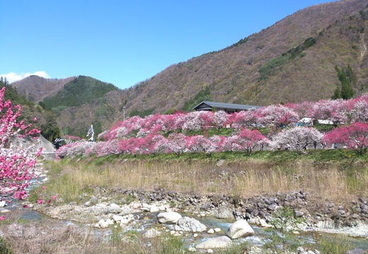 20130502140900-SO-04D.jpg