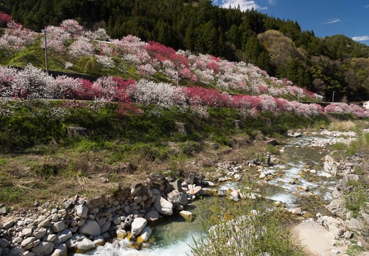 201305021422-DSC08475.jpg