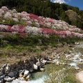 201305021422-DSC08475.jpg