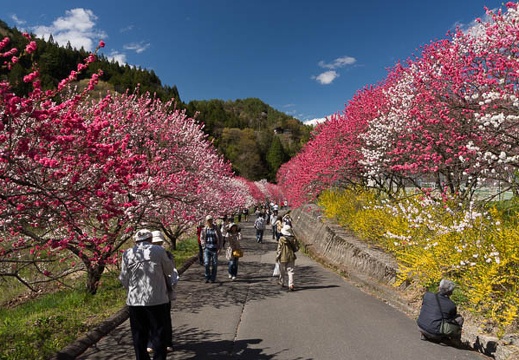 201305021427-DSC08489.jpg