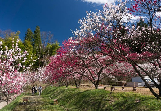 201305021439-DSC00939N.jpg