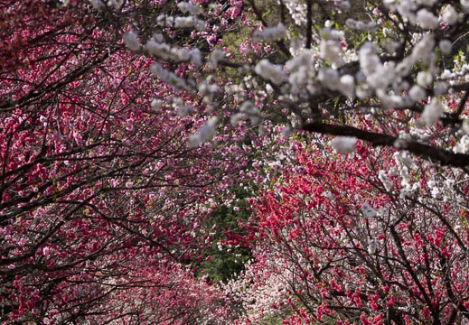201305021440-DSC08506.jpg