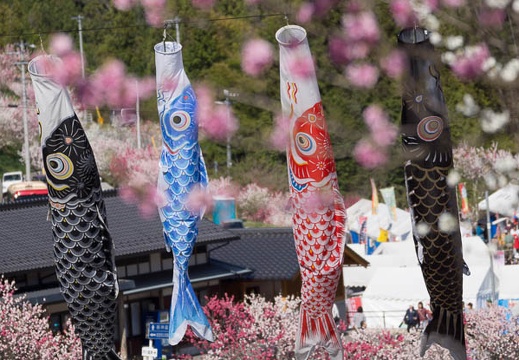 201305021517-DSC08535.jpg
