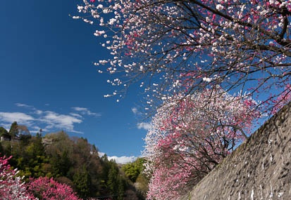 201305021524-DSC01018N.jpg